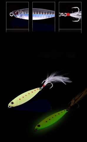 Image of Sea Bass Metal Fishing Lure