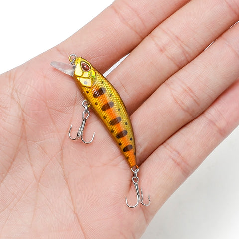Image of Crankbait Fishing Lure
