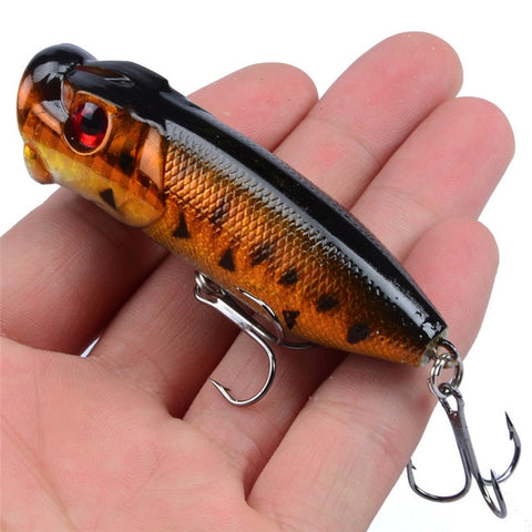 Image of Topwater Popper Bait