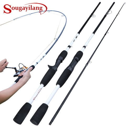 Image of 2/3 Sections Carbon Fiber Spinning Fishing Rod