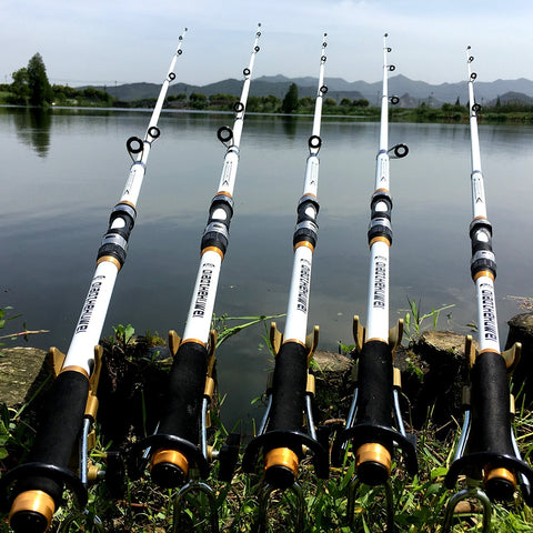 Image of Carp Fishing Rod